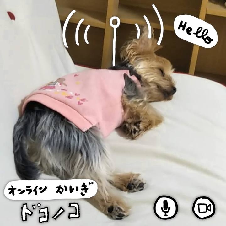 15f8617b bfe8 426f 943e c5f371cec036 1590733692308