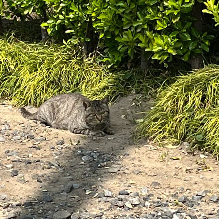 15f8a120 d51d 4b04 9923 35b9f4899365 1649739946852