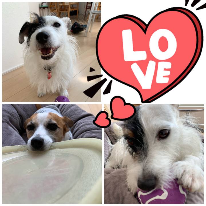 15f8a89e 03b2 4f1c 8ab5 13fe98689759 1599011137660