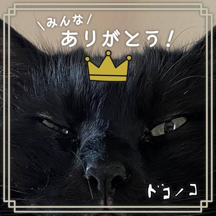 15f8c5c7 f555 4f71 9f81 ce26cd001410 1622974454259