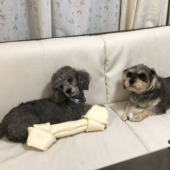 15f91795 df73 4c4c 9c12 3e81c2281984 1535240210286