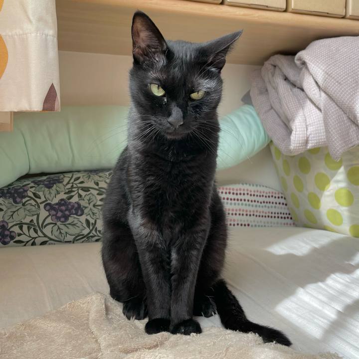 15f92694 48e4 4692 8728 d78907e5bc37 1690078665547