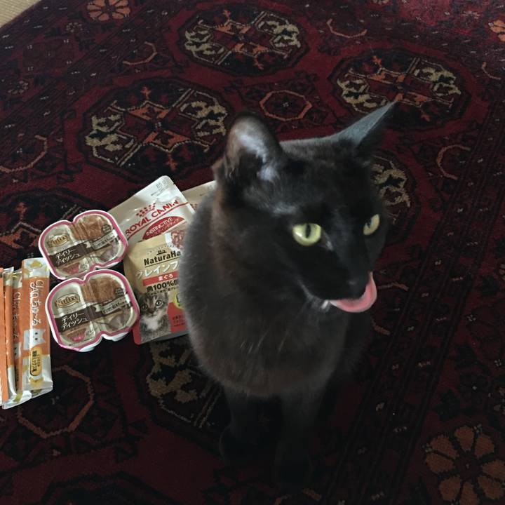 15f97ac7 f971 4050 b832 b467cee76595 1561789609260