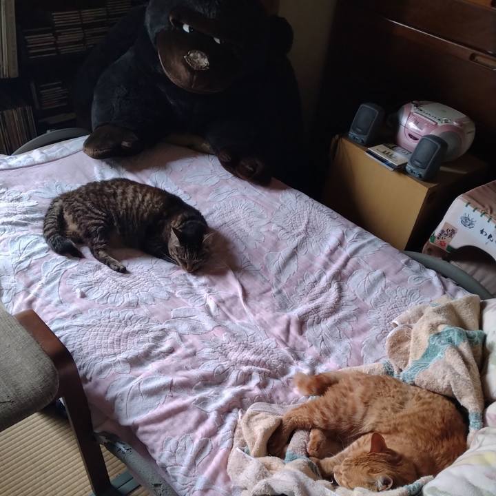 15f97c66 3143 4825 8db8 25797da2cff0 1688340147297