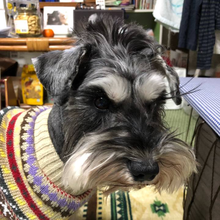 15f9a265 497a 4a70 94e9 a2eb82698fa1 1613788775715