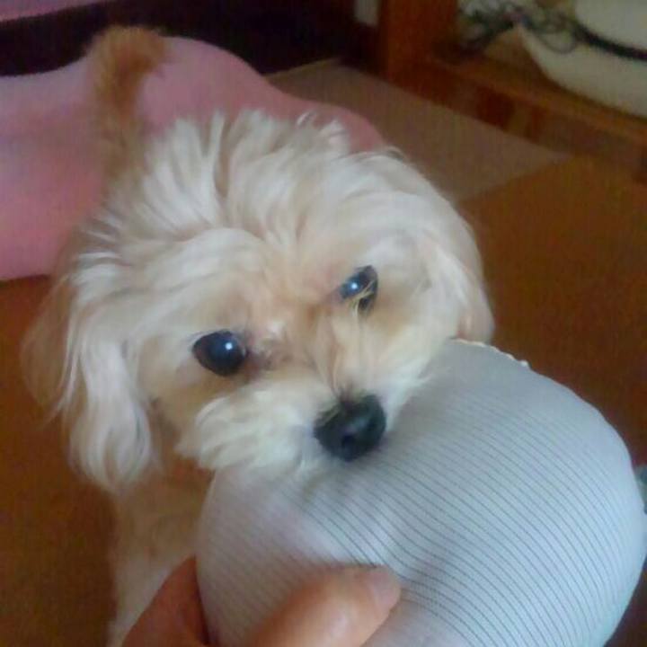 15f9a419 df79 43ed 8e8d cfc686fd802d 1534315171552