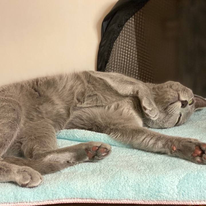 15f9b84f 9e4f 45c3 a9df dea3b09d9455 1626004144807