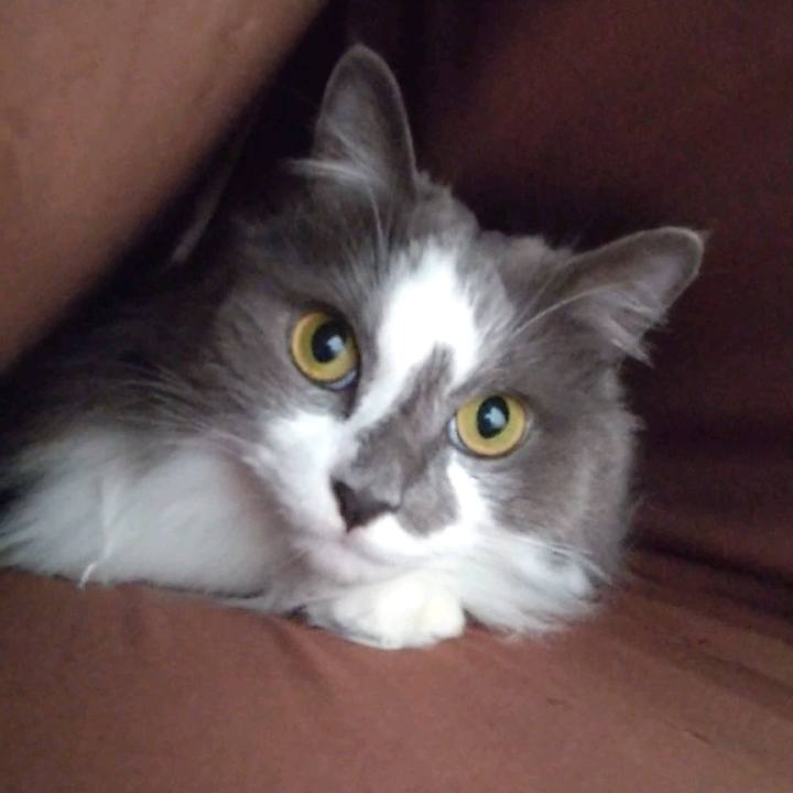 15f9e190 517c 45a0 9af8 0769d2a9def6 1683275138433