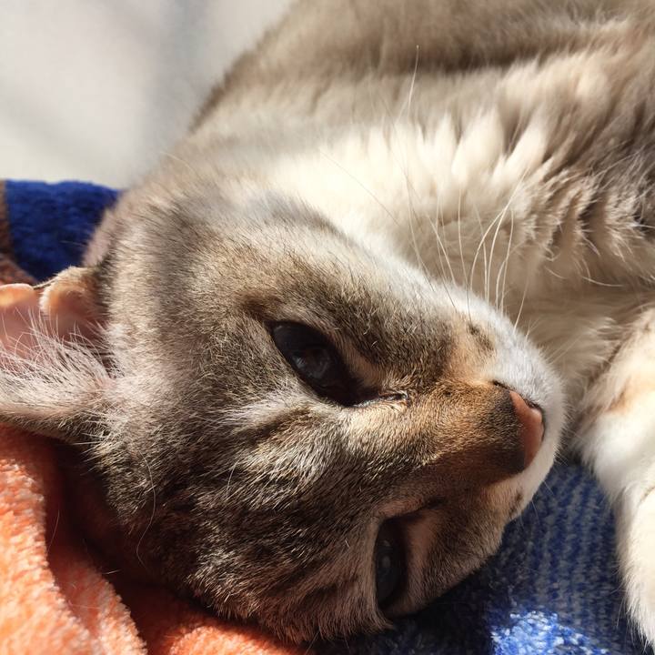 15fa09c0 24b1 4114 a53e 3c6a476dbc5b 1523498803681