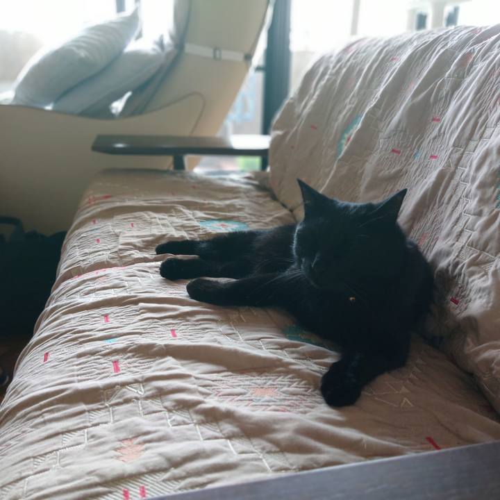 15fa1281 461a 42a0 b8b8 7ee331dc56a5 1559613828087