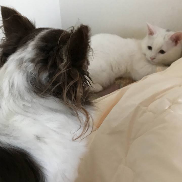 15fa174e 9db8 462f b241 d3d17ce11955 1511058793486