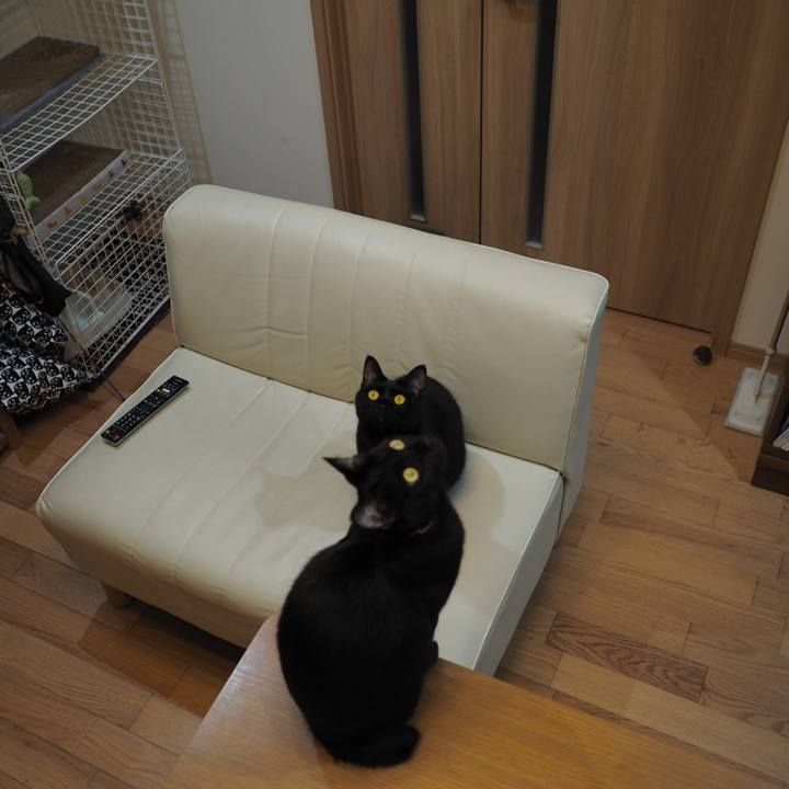 15fa40ee c794 43f1 9a92 4c7b53e45ca9 1544757544971