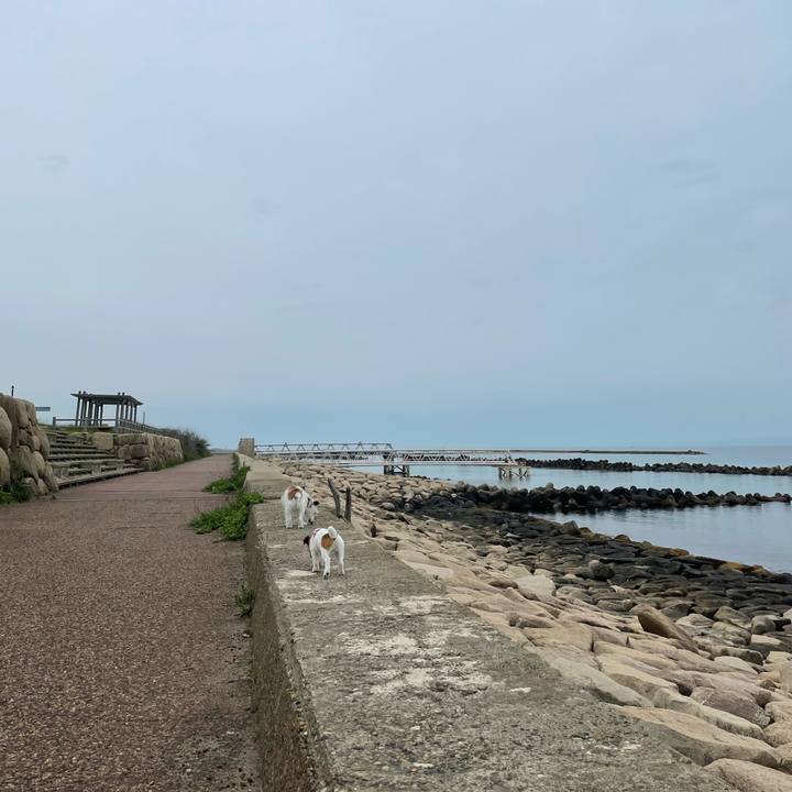 15fa6024 17ec 46a0 b5a1 35acaa3fc2bb 1622070946230