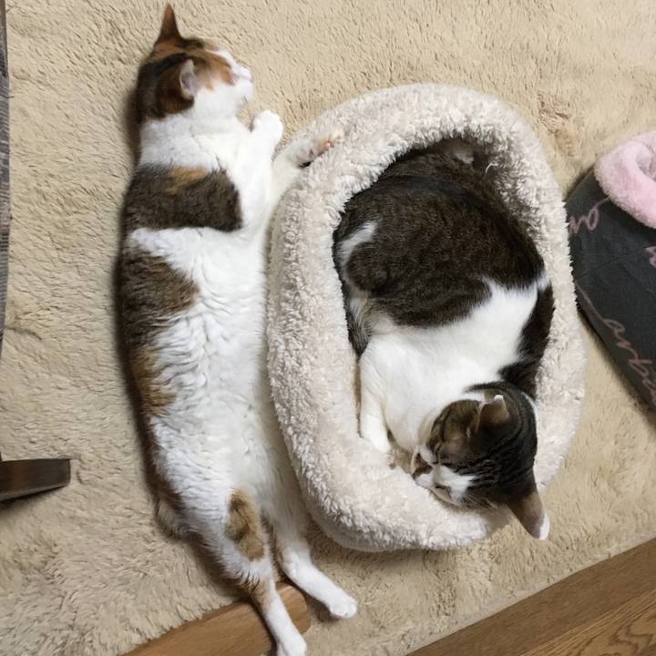 15fa800b a719 4a91 a3bc ed064b90efab 1514333654794