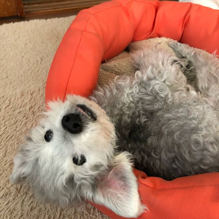 15fab0be 98d6 4717 9960 e1cc018ea8fb 1581313597550