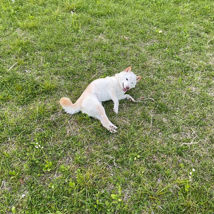 15fab832 71df 4959 aa9f c27f3d4346bb 1650461433412