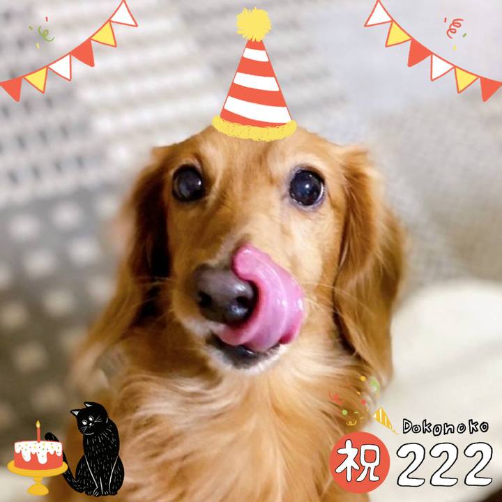 15fae8e2 077f 42e9 a80a bcb6b8a4d84b 1645539142603