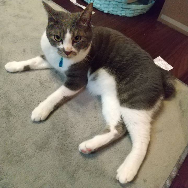 15faf194 4a99 4656 84d7 1486d870c8b1 1649421444533