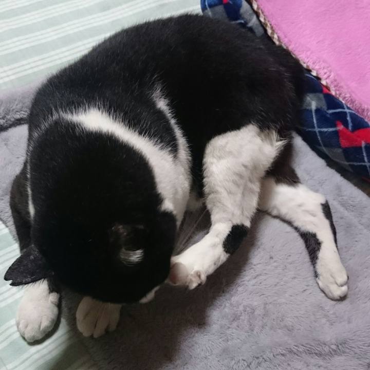 15fb3b8f 4b77 4db5 8986 13d8ec590502 1508587691029