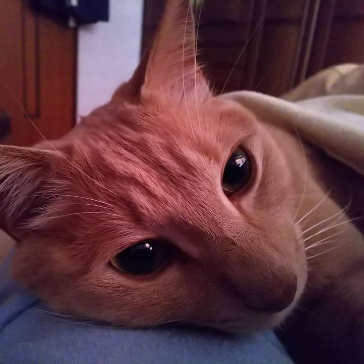 15fb3f59 5a31 49d4 a762 8ca5349d17e1 1623019906969