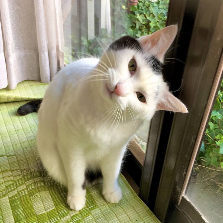 15fb5230 3008 49c7 87cf 71745dc12f5b 1576224906397