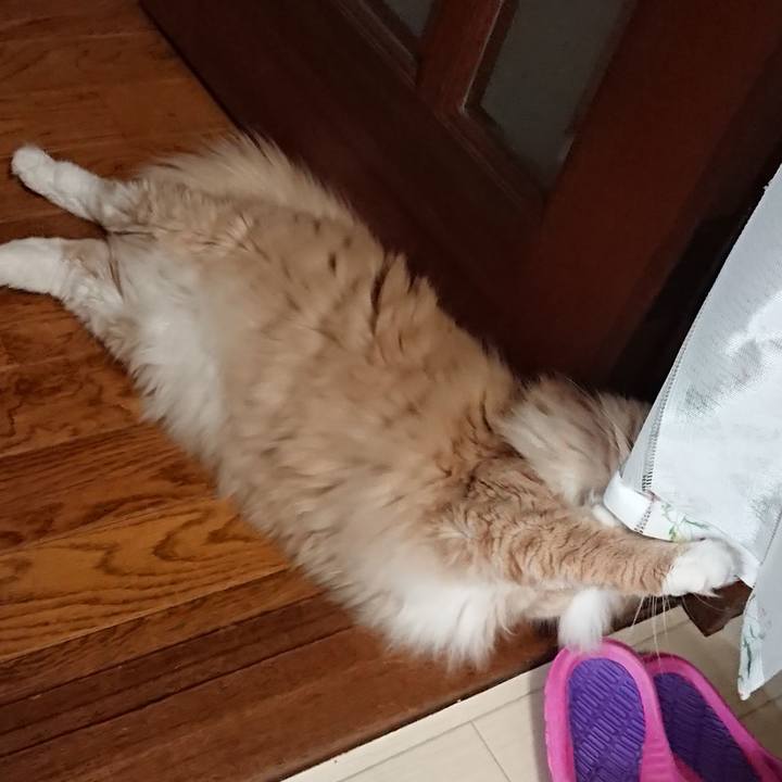 15fb5ae7 1d38 473e 8660 5e0076e5bcf9 1540519764664