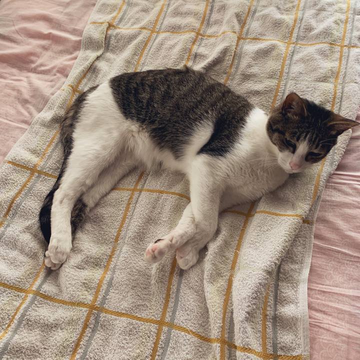 15fb5fbd 2177 454b a3d0 0130e998a1f2 1557820011588