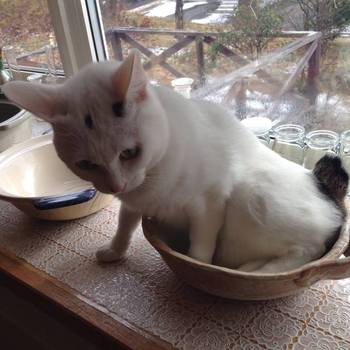 15fb6d8a 478e 4751 95f2 cf07db341a38 1511052170788