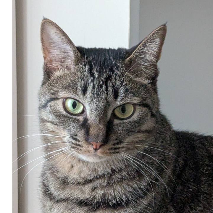 15fbc730 1fa5 44e2 b7d8 51b196268f96 1744866634795