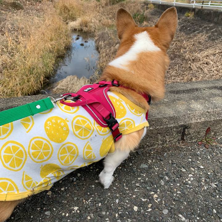 15fbc93b 9780 40ea 8188 772b0f0bf531 1639472457900