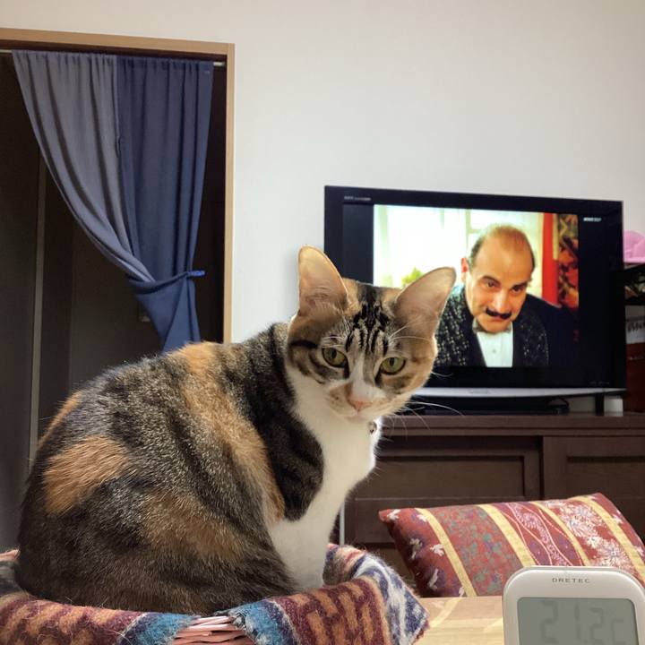 15fbdbb4 2b26 43a4 b2b2 119fd6865579 1676516471347