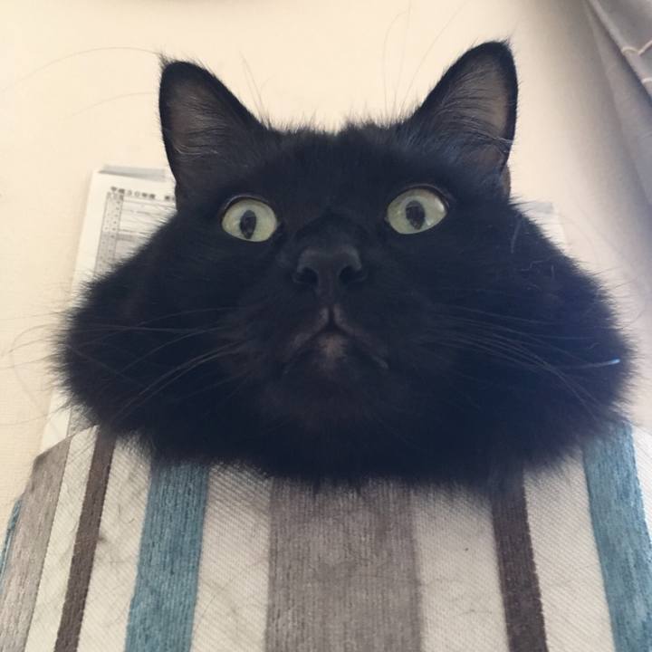 15fbef60 6654 4e09 80e7 85b33bd38089 1537780317928