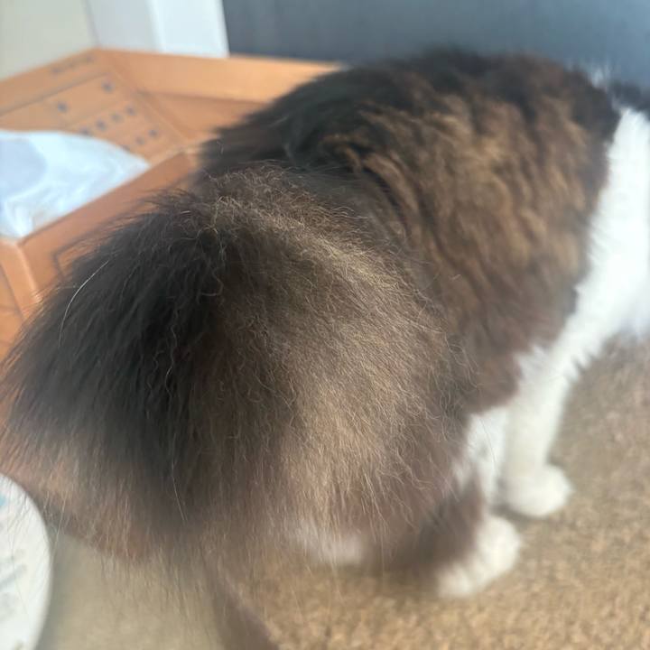 15fbfca3 200c 4ab2 b597 bb6fdfcf0ad5 1772418096716