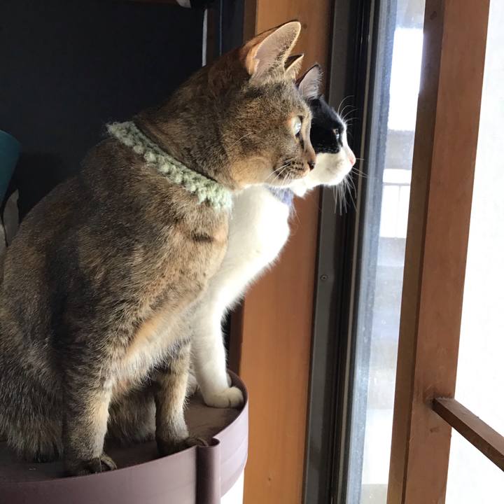 15fbfed1 b3d7 4ef9 b0d1 f57b0118599f 1643877195338