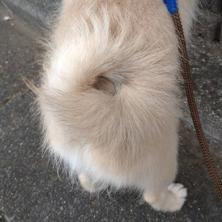 15fc0687 1698 409f 8ae0 20fd9361d363 1727738475708