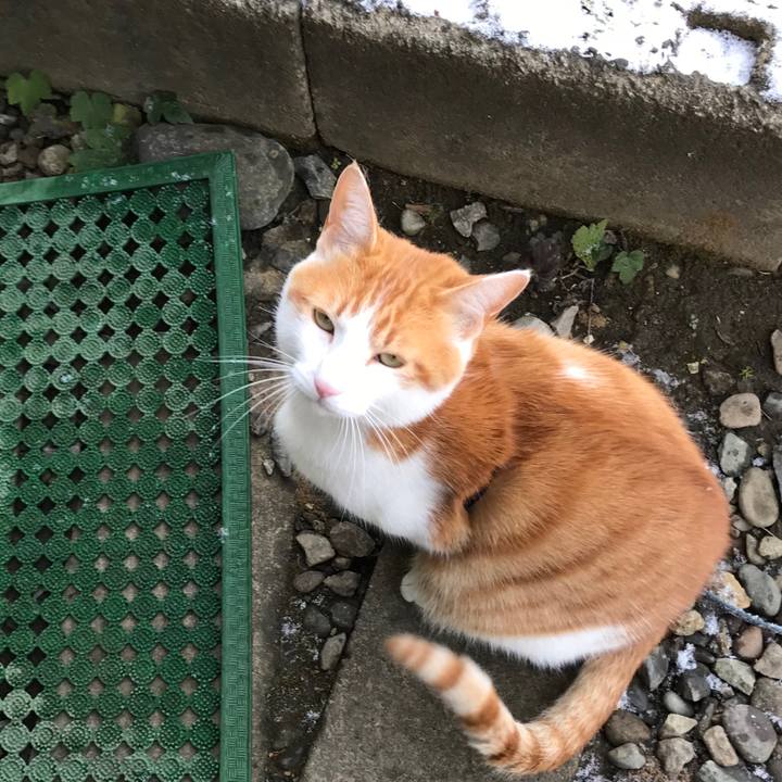 15fc303a 2998 49d5 b5c8 4cbbb3ba71ef 1513123361136