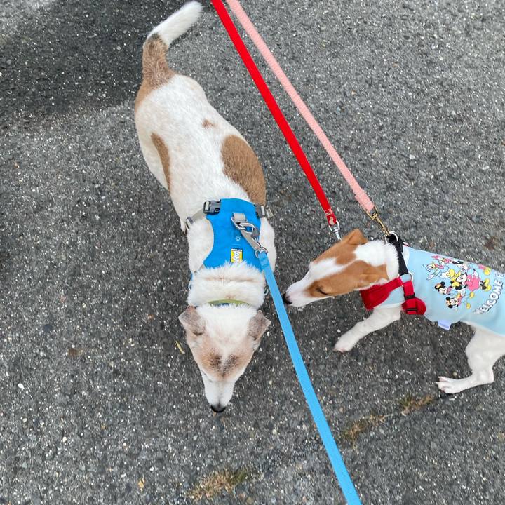 15fc59ac 2f1d 4403 bae5 1d83d33794d5 1698620342120