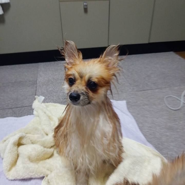 15fc6e85 2266 4b53 b24c 03e00a53dd8f 1527510883294