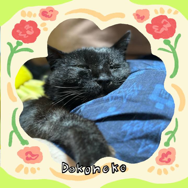 15fca4c7 8c57 4ec3 8e15 ba52fb29539f 1714961919108