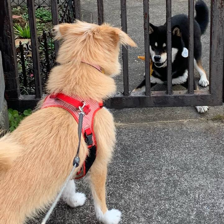 15fcbc9a ace8 47c3 a70e df97397a74c3 1579514272208