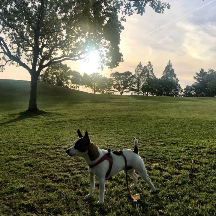 15fcbf9d 23d7 44bf b651 1c1ff68e0983 1526040679861