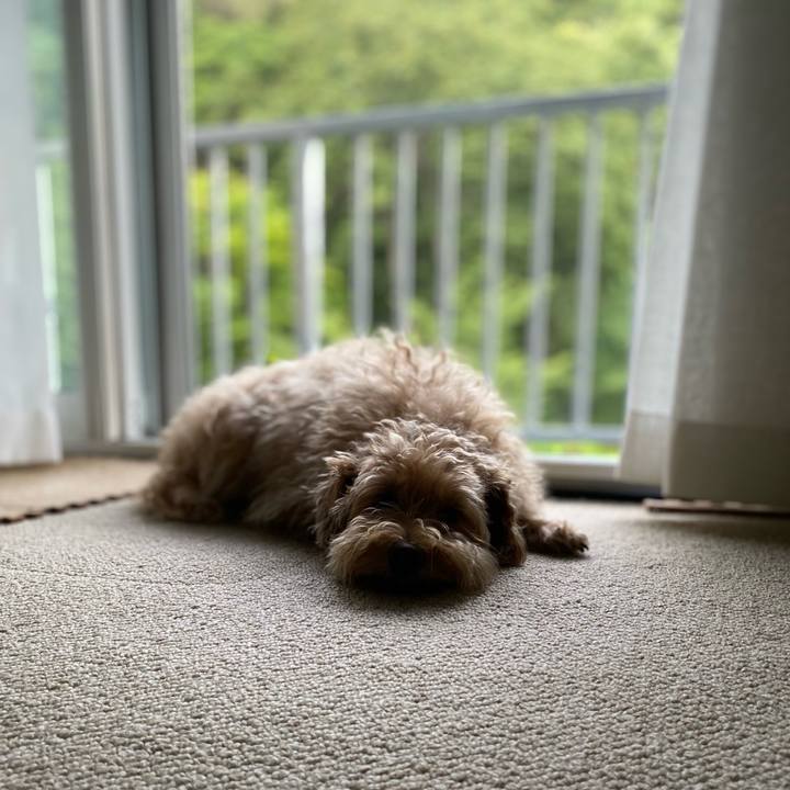 15fce3ef 91c7 4e6f 85a8 d5920b4fe671 1693254723053