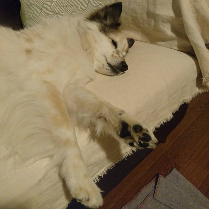 15fcf53d 9d16 41c3 a1a8 692f9512c47d 1612347850652