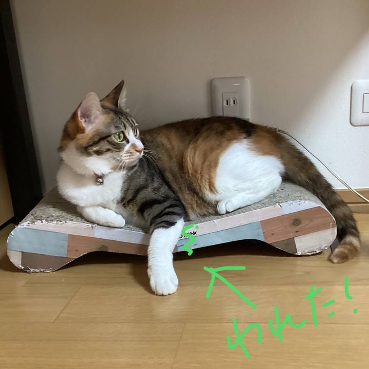 15fcfb9f 4ea7 463e be97 06df4960aa62 1715390535315