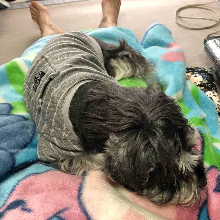 15fd399c 2821 4a85 869a e87ede425ea5 1619924367606