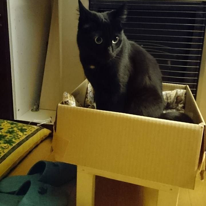 15fd7545 464b 484e b8e5 d5749e7bc417 1623934072829