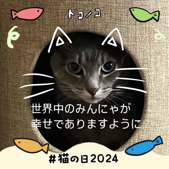 15fd9cac 9f44 4fc2 930b a295d982f377 1708581110961