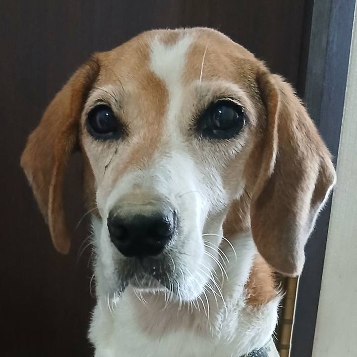 15fdbf3b 6bf9 4801 b349 b197f6b83438 1756963522452