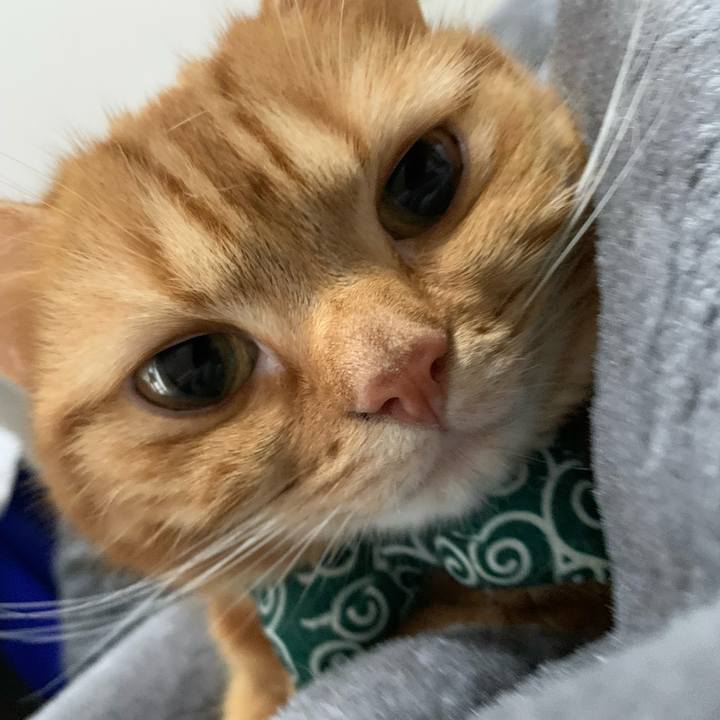 15fdce5b e44c 45c5 93f9 563155a2ab3a 1573169281151