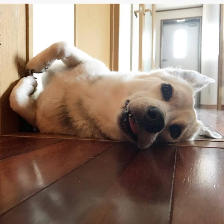 15fe0cf6 67dc 441a a9a0 b1ed1e50eefa 1585017406326